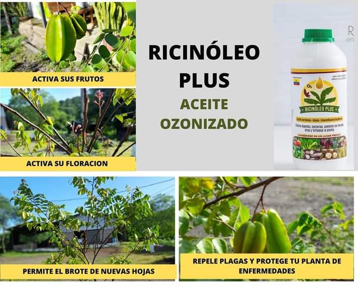 Ricinóleo Plus