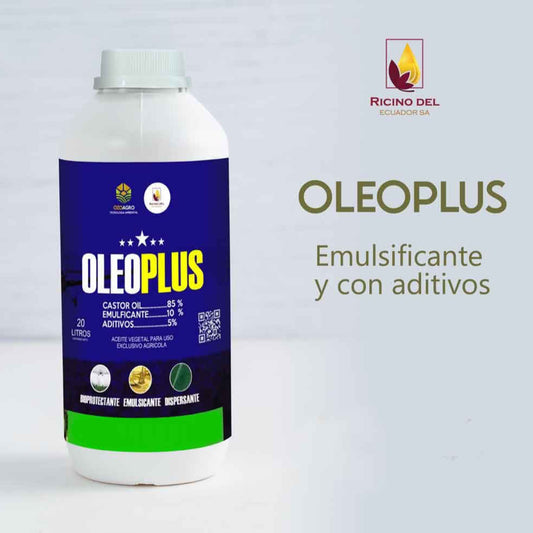 OleoPlus