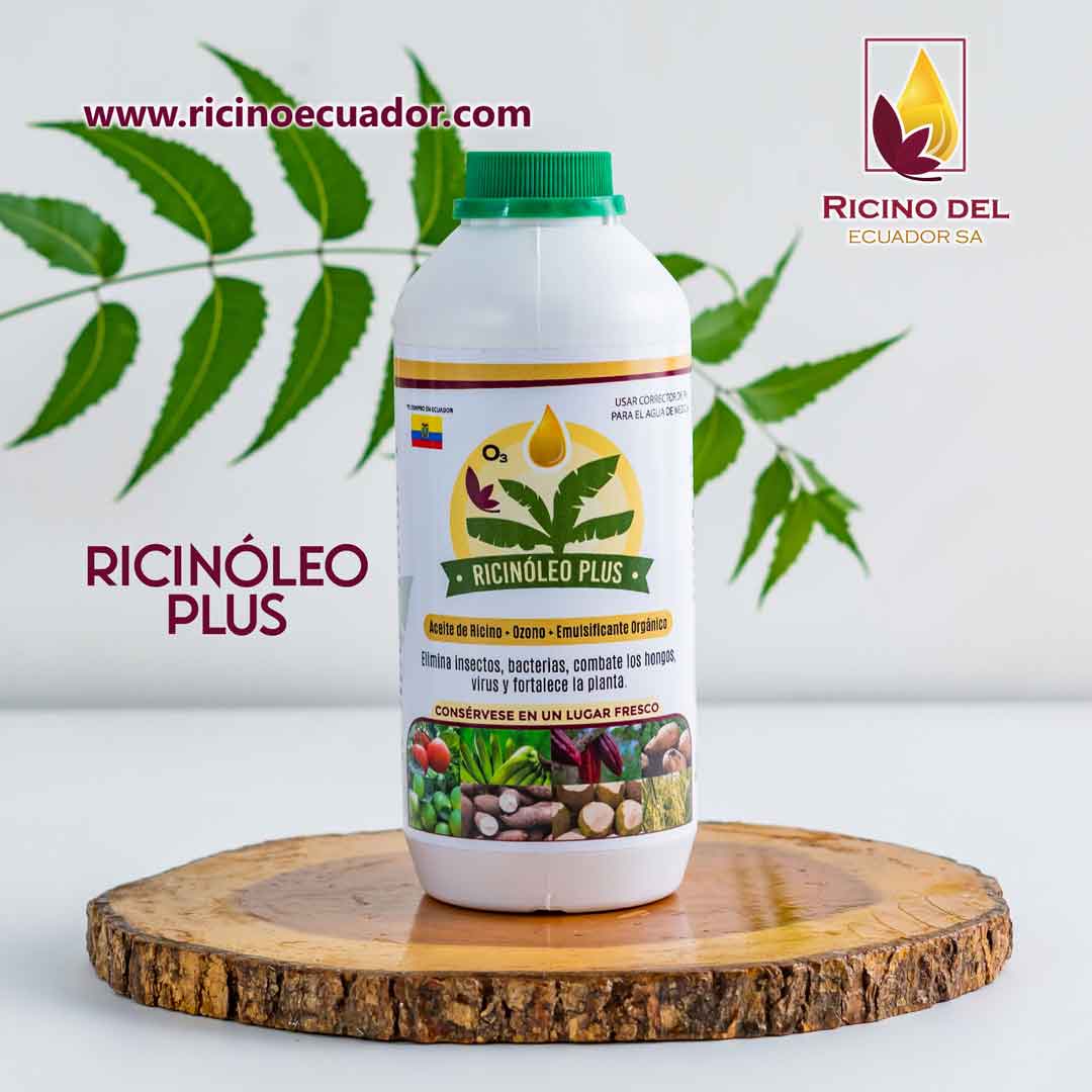 Ricinóleo Plus